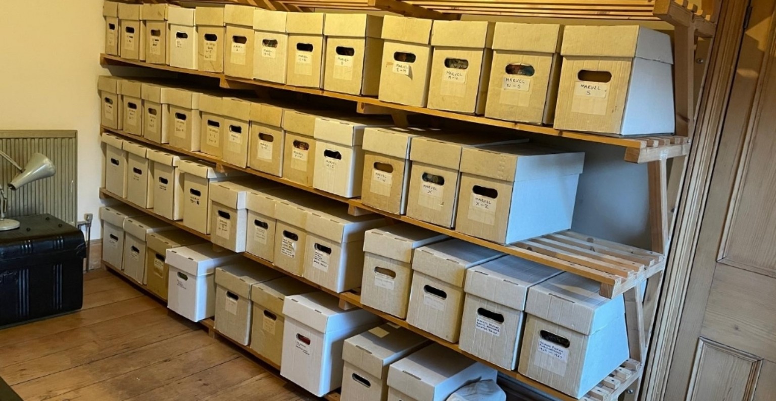 Large wall of comic long boxes